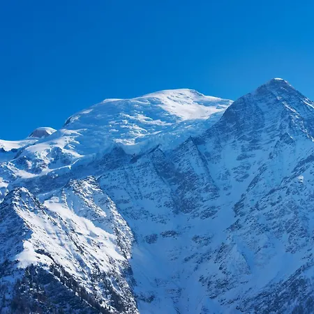 Le Cosy Refuge Apartment Chamonix